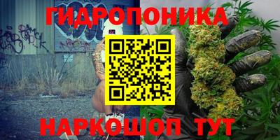 амф Донской