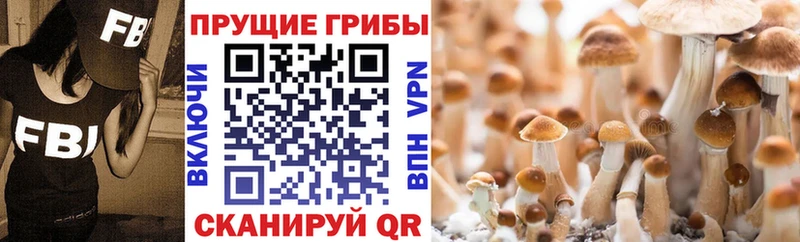 Псилоцибиновые грибы мухоморы  наркотики  Мытищи 