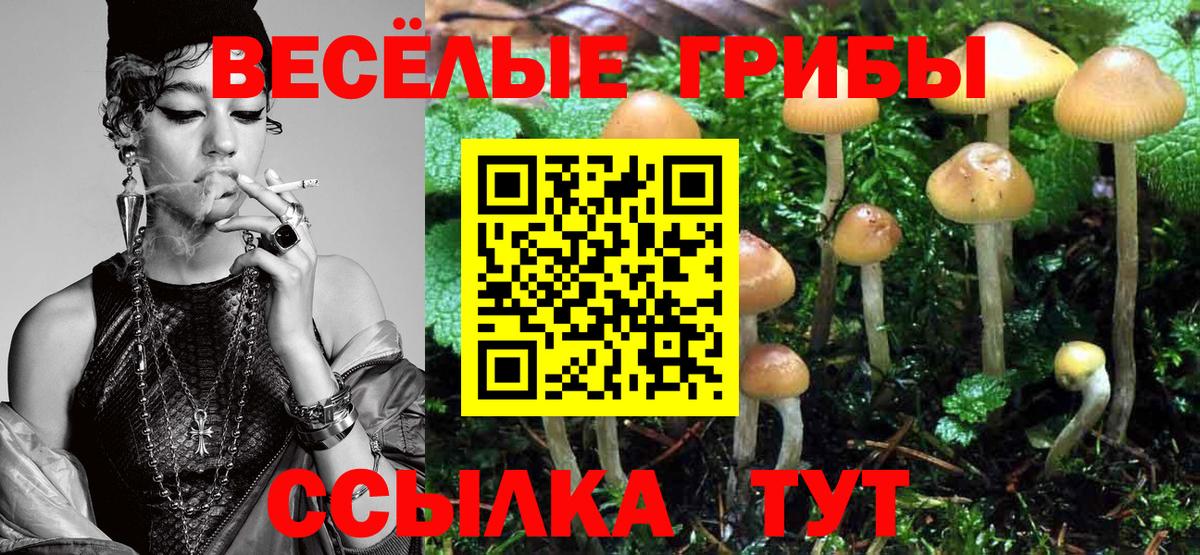 Псилоцибиновые грибы GOLDEN TEACHER Мытищи