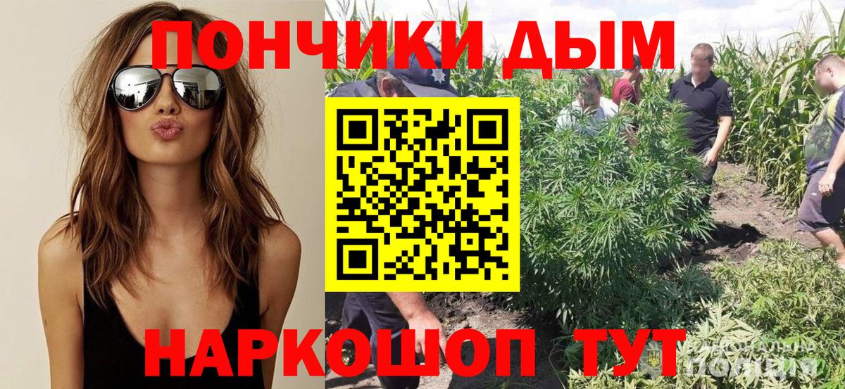 Конопля OG Kush Мытищи